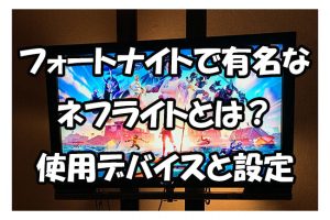 フォートナイトで有名な ネフライトとは？ 使用デバイスと設定