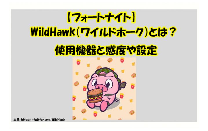 フォートナイト Wildhawk ワイルドホーク とは 使用デバイスと感度やボタン配置 設定を調べました Haruchannel